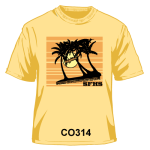 CO314