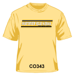CO343
