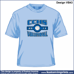 VB43.png